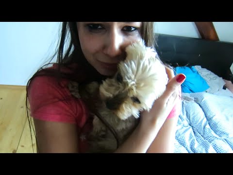 Extra Footage | Girlfriend’s Dog in Washing Machine Prank