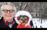 Blizzard Of 2015 NYC Weather With Schmitty The Weather Dog for Westminster