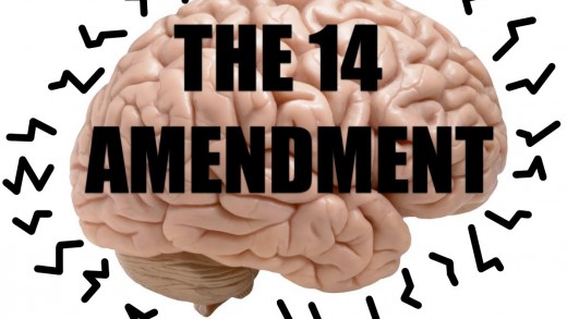 Brain Wrinkling the 14th Amendment