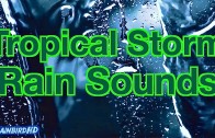 “Heavy Rain Sounds” 10 Hours of Pouring Rain and Thunder during a Tropical Storm HD
