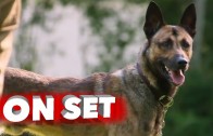 Max: Behind the Scenes Making of Dog Movie – Lauren Graham, Thomas Haden Church