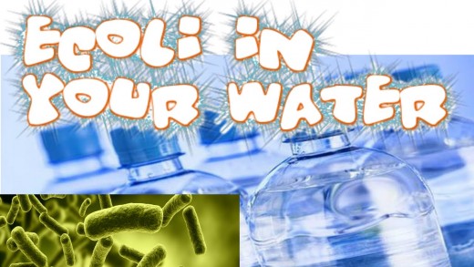 Name Brands Bottled Water RECALL! E. coli bacteria in the water!