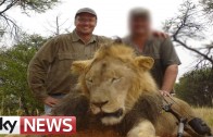 Cecil The Lion: Neighbours Of Lion-Killing Dentist React