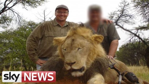 Cecil The Lion: Neighbours Of Lion-Killing Dentist React