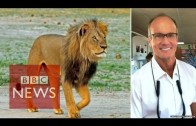 Cecil the lion: US hunter ‘regrets’ killing – BBC News