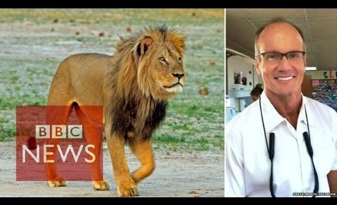 Cecil the lion: US hunter ‘regrets’ killing – BBC News