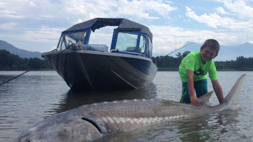 Great River Fishing:  9yr Old Boy Hooks Giant White Sturgeon on the Fraser River