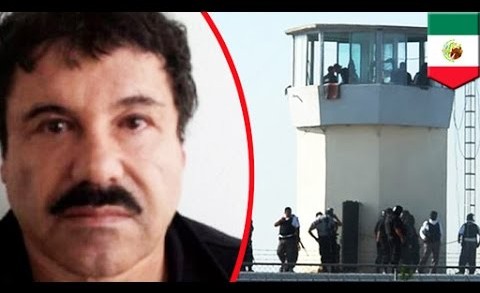 Mexican drug lord ‘El Chapo’ Guzman escapes from maximum security prison near Mexico City – TomoNews