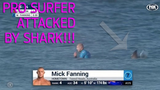 SHARK ATTACK! Pro Surfer Mick Fanning encounters shark in South Africa