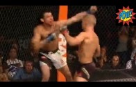 TJ Dillashaw vs Renan Barao 2 KO/TKO/Knockout