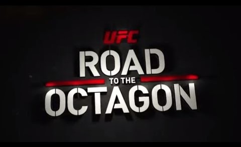 UFC Road to the Octagon: Dillashaw vs Barao 2