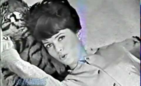 60s TV ads, Barbara Feldon, Yvonne Craig