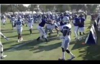 Cowboys Rams fight VIDEO Dez Bryant Punched in face Dallas Cowboys St Louis Rams fight at Practice