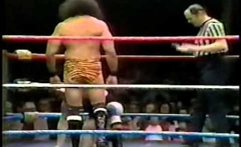 Jimmy Snuka WWF debut