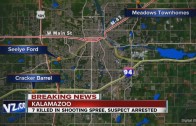 7 massacred in random shootings in Kalamazoo