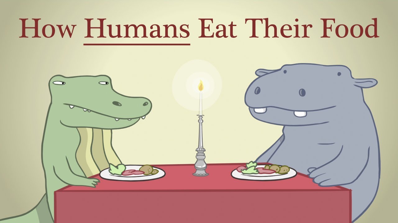 Hippo & Croc: How Humans Eat Their Food