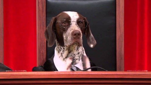 Dog Supreme Court Debates Human Sacrifice #puppyjustice #realanimalsfakepaws
