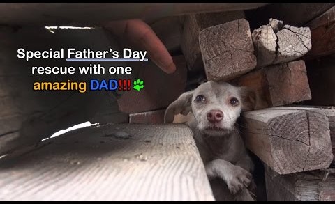 Special Father’s Day rescue with one AMAZING DAD!!!  Please share.