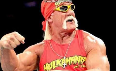 Hulk Hogan Racist Rant Audio (Full Video ) Removed from WWE website