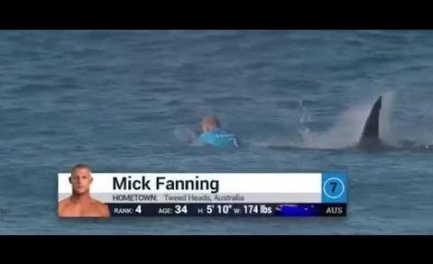 Mick Fanning Shark Attack ATTACKS Fanning Attacked J Bay Final Open 2015 WSL MY THOUGHTS REVIEW