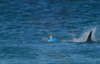 Shark attack champion surfer Mick Fanning in South Africa