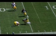 Jordy Nelson Injury – Tears ACL In Packers vs Steelers Preseason Game 2015 – verizon sip