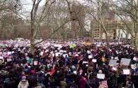 Pro-Peter Liang Rally at Cadman Plaza, Brooklyn, NY on Feb 20, 2016
